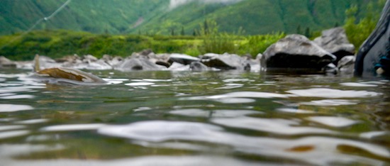 Fishing Bear Lodge photo essay