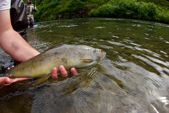 Fishing Bear Lodge photo essay