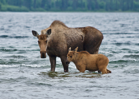 Fishing Bear Lodge photo essay