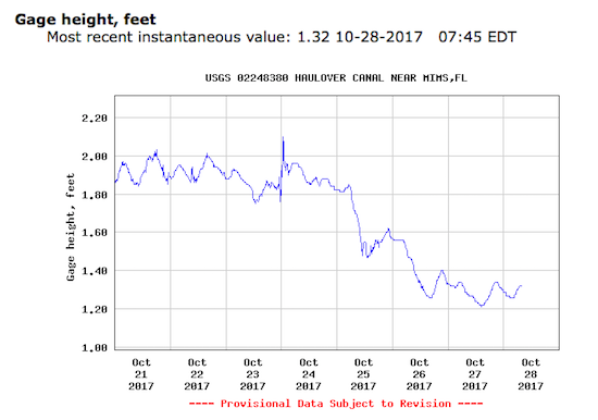 mosquito lagoon fishing report