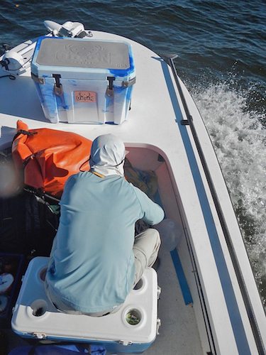 pine island sound fishing report