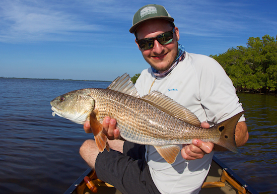 sw florida fishing report