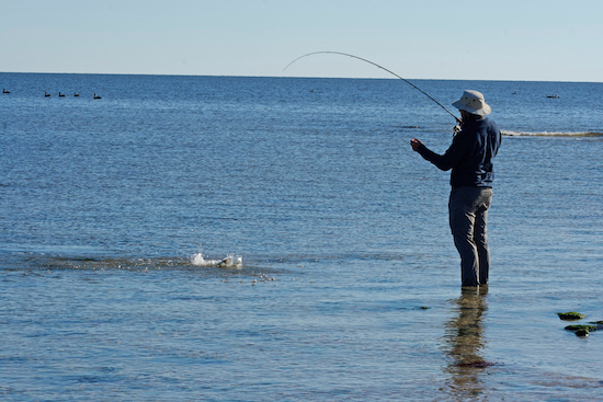 sw florida fishing report