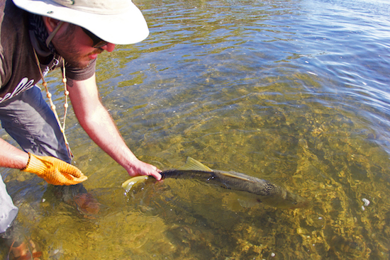 sw florida fishing report