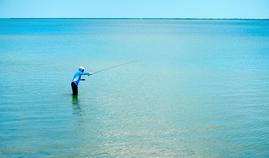 mosquito lagoon fishing