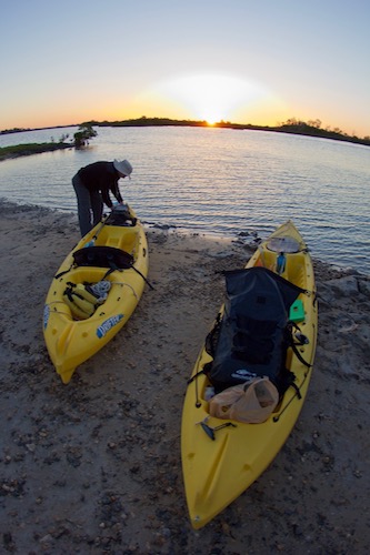 ozello/mosquito lagoon fishing report