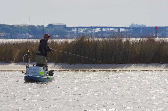 destin inshore fishing report