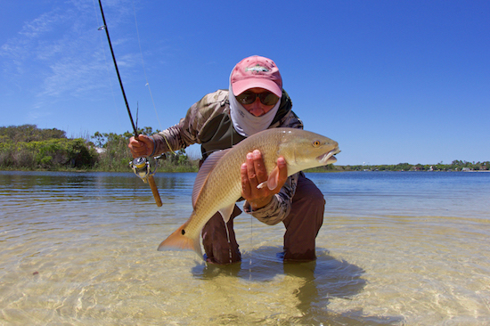 destin inshore fishing report