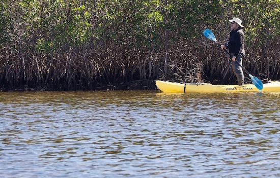 ozello/mosquito lagoon fishing report