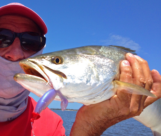 inshore fishing report