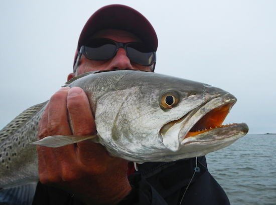 inshore fishing report