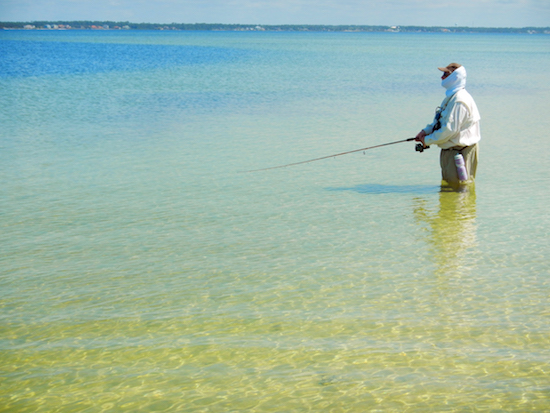 destin inshore fishing report