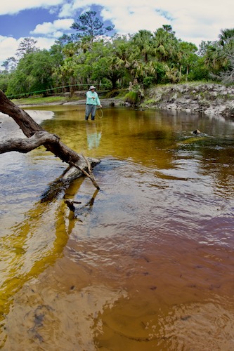 Orlando Area Fishing Report 