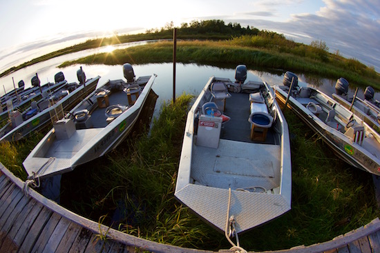 Alagnak River fishng report