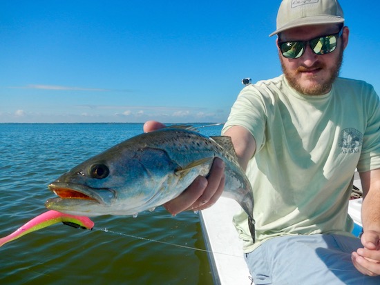 lagoons fishing report