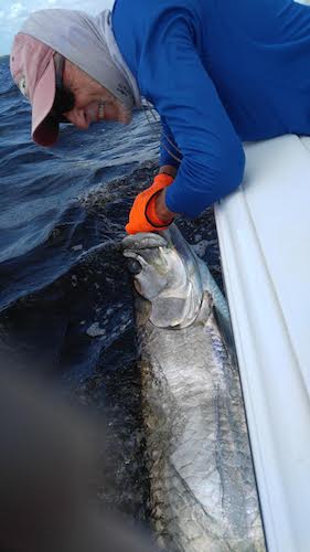 charlotte county fishing report