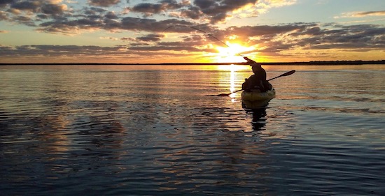 jacksonville paddle fishing report