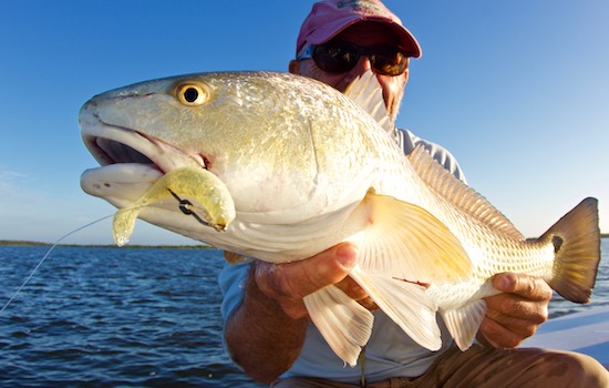 jacksonville paddle fishing report