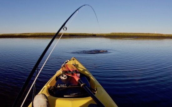 jacksonville paddle fishing report