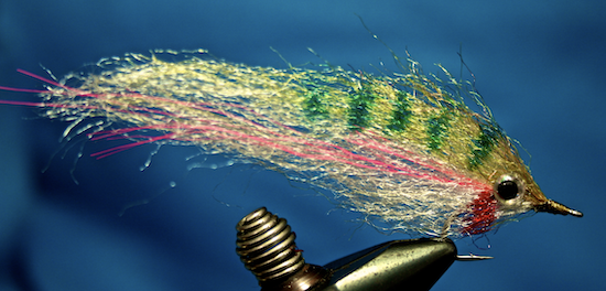 Fly Tying: Wooly Bugger JIG, Best Beginner Fly Pattern - 1 Minute Tying  Tutorial and Full SBS 