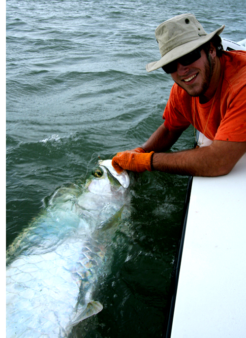 tarpon fishing charter, florida tarpon fishing