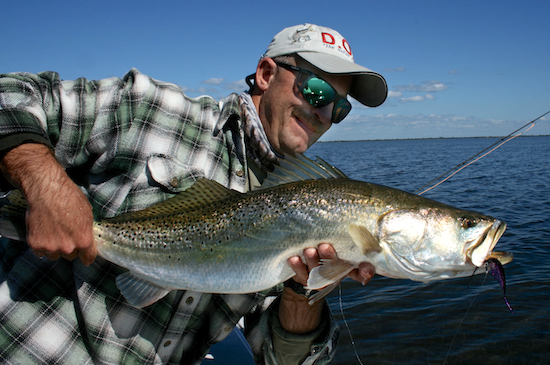 Mosquito Lagoon seatrout