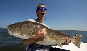 Mosquito Lagoon redfish