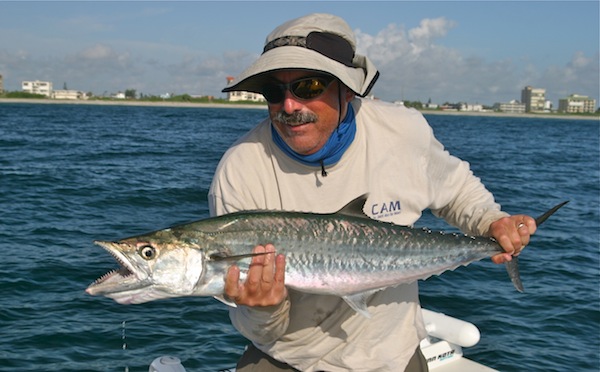 slow trolling for king mackerel- the spotted tail