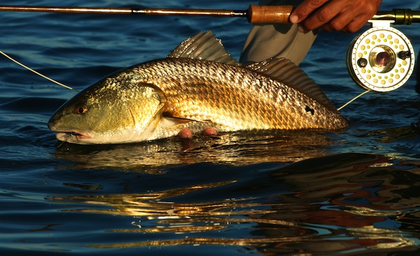 orlando fishing