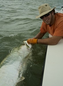 beach tarpon