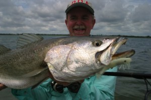 Summer Seatrout in Mosquito Lagoon