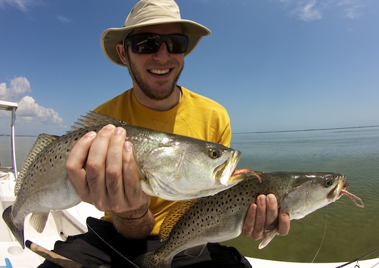 Summer Seatrout in Mosquito Lagoon