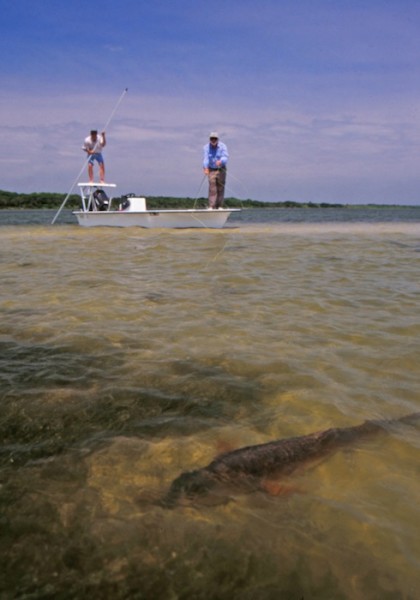 fly casting to redfish