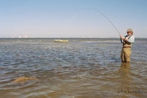 Black Drum Fight