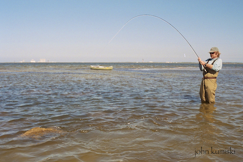 Black Drum Fight