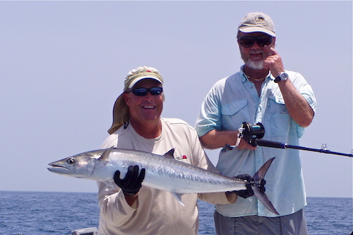 king mackerel