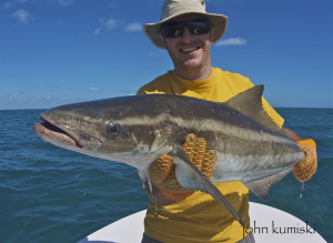 spring cobia fishing port canaveral