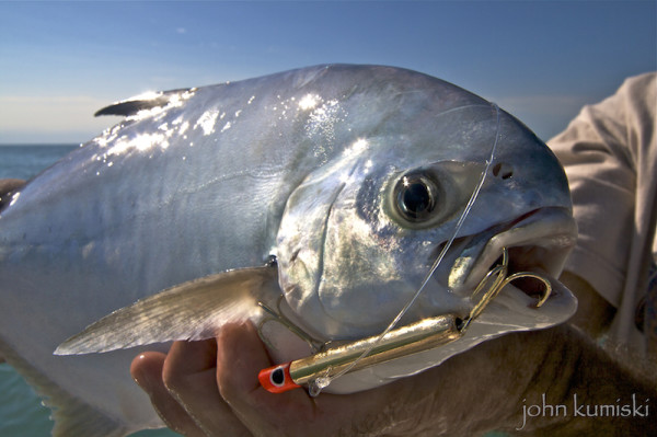 pompano