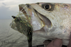 successful seatrout flies