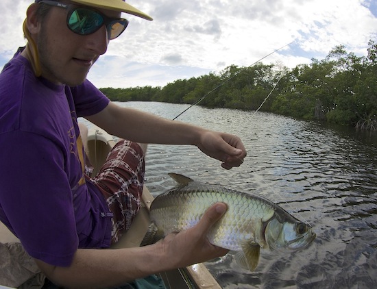 fly fishing for baby tarpon