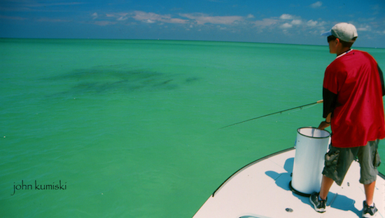 Tarpon Fly Presentation