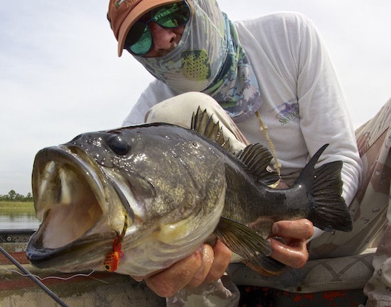 fly fishing for bass