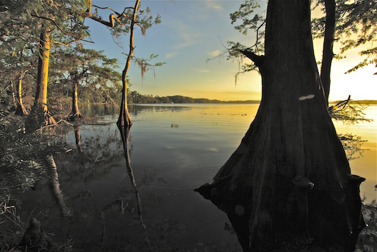 fly fishing for bass