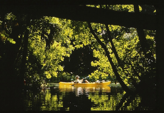 fly fishing for bass