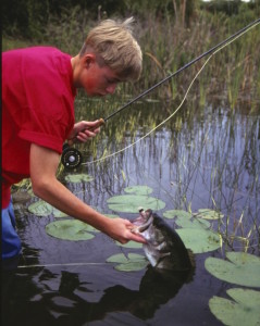 fly fishing for bass