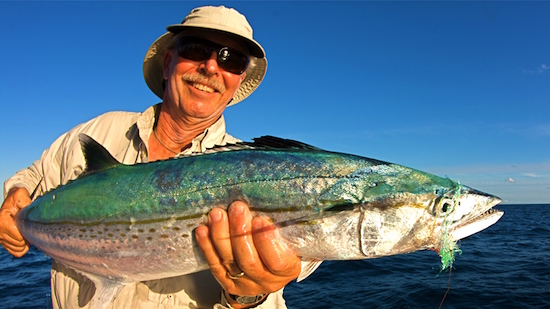 Wire Leaders for Toothy Fish - Capt. John Kumiski's Spotted Tail Website