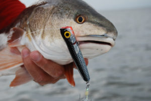 choosing effective fishing lures