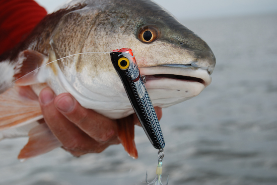  choosing effective fishing lures