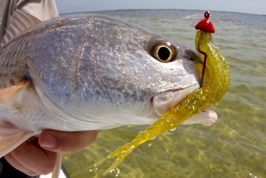 redfish weedless jig - Capt. John Kumiski's Spotted Tail Website