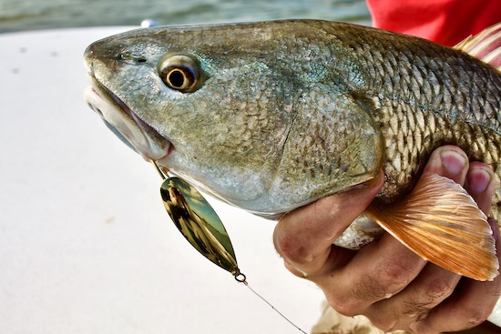 Packing a Florida Fishing Box - Capt. John Kumiski's Spotted Tail